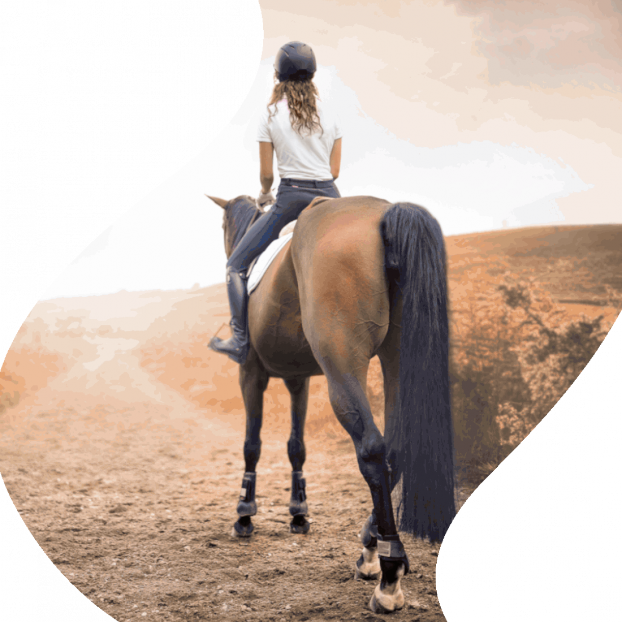 Ohne Angst frei reiten