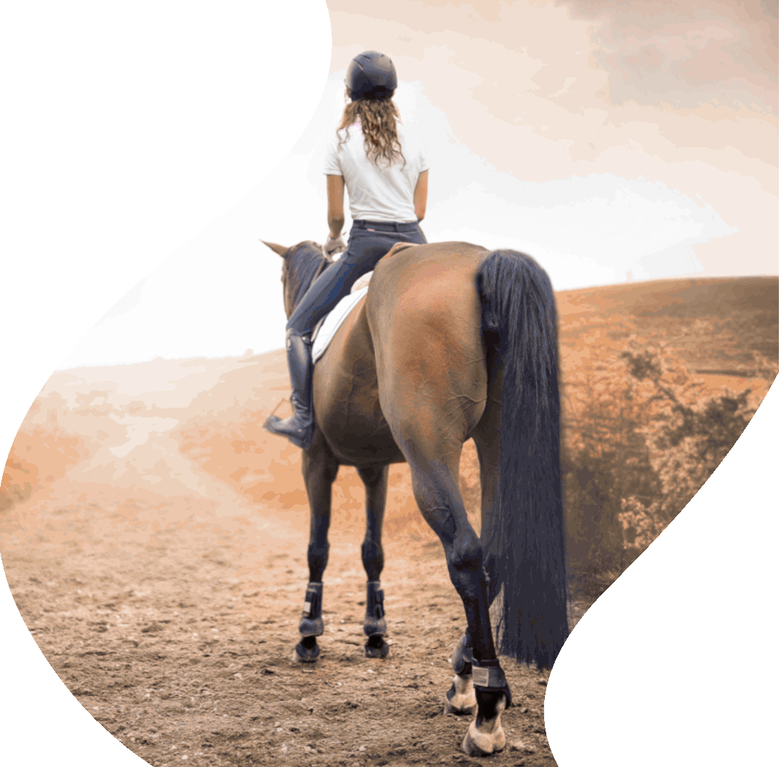 Ohne Angst frei reiten