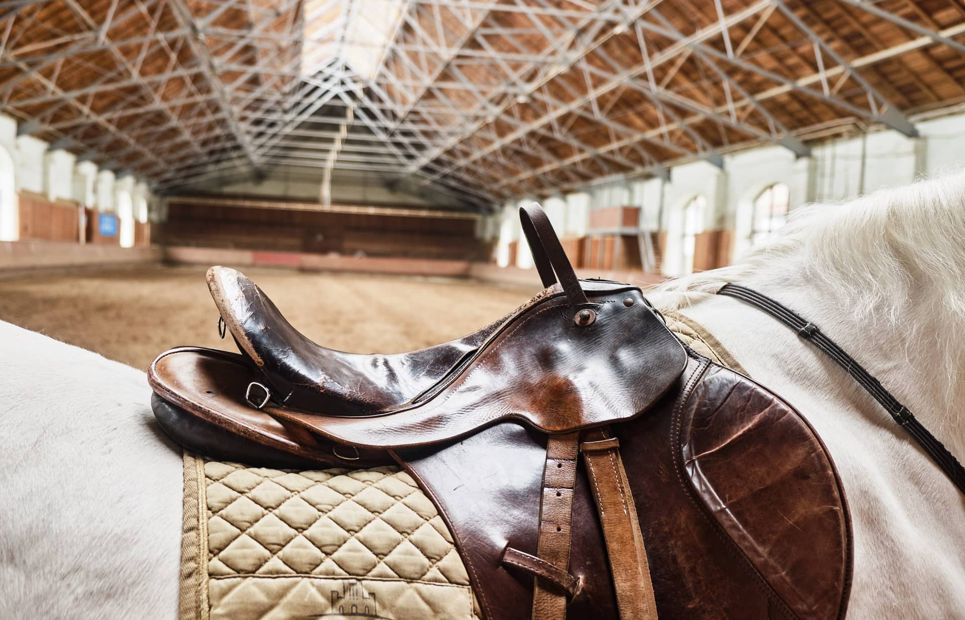 Wenn Deine Reitangst den Sattel leer lässt